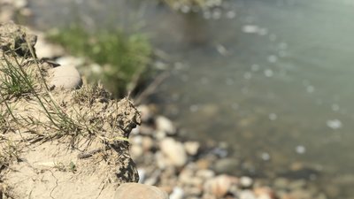 "Коли вода під берегом, я збираю шмаття": як на Франківщині живуть у селі без дамби "Коли вода під берегом, я збираю шмаття": як на Франківщині живуть у селі без дамби