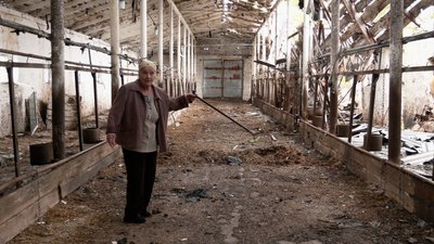 Німеччина надасть 9 млн євро агросектору України. На що підуть гроші