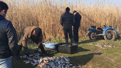 Під час нерестової заборони на Миколаївщині браконьєри виловили понад центнер риби