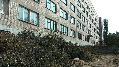 Жителі Запоріжжя б'ють на сполох - у місті знову вирубують дерева
