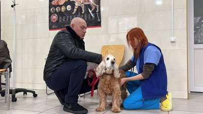 Як минув перший тиждень 2024 року на Миколаївщині: фотодобірка Як минув перший тиждень 2024 року на Миколаївщині: фотодобірка