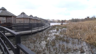 Здають сміття з річки, а за виручені гроші купують лілії. У Вінниці створять "Живий" герб на воді Здають сміття з річки, а за виручені гроші купують лілії. У Вінниці створять "Живий" герб на воді