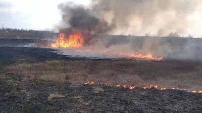 На Дніпропетровщині з початку року — 640 пожеж у екосистемах