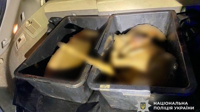 В одному із мікрорайонів Полтави чоловік ймовірно застрелив двох диких косуль