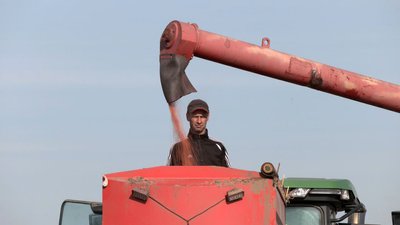 На Волині завершується посівна озимих культур