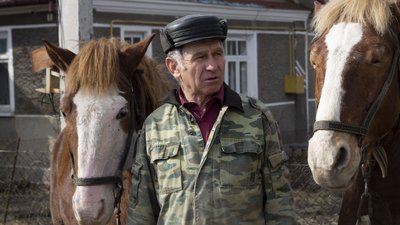 Коні в місті, Леонід Столярук, Володимир, підводою їдить в місті