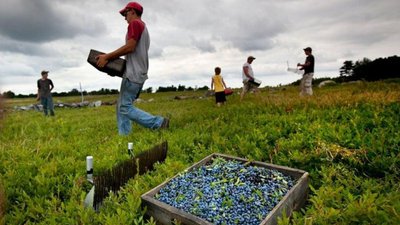 Кількість вакансій для українців за кордоном за місяць зросла майже вдвічі — Опендатабот