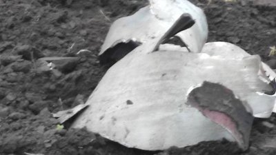 На Київщині внаслідок вчорашньої атаки РФ загинула людина — поліція