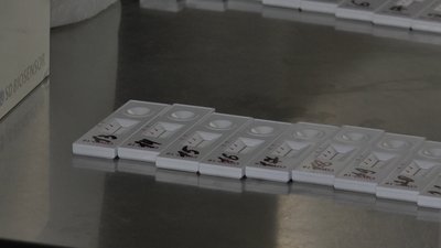 У понад десятка пасажирів поїздів, які повернулися до Полтави із "червоної" зони, виявили COVID У понад десятка пасажирів поїздів, які повернулися до Полтави із "червоної" зони, виявили COVID