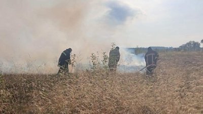 Пожежа сухостою, повітря, задимлення, Калуш, Рожнятів, Франківщина