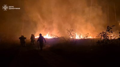 Згоріло 470 гектарів через російський обстріл: рятувальники загасили пожежу в лісі на Донеччині Згоріло 470 гектарів через російський обстріл: рятувальники загасили пожежу в лісі на Донеччині