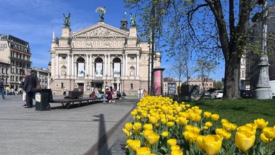 Тюльпани біля Львівського оперного театру Тюльпани біля Львівського оперного театру
