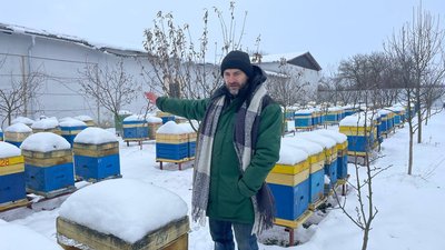 пасічник пасічник