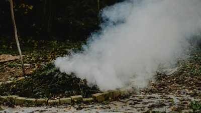 Спалювання листя