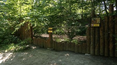 У Рівненському зоопарку збудували нове житло для пекарі