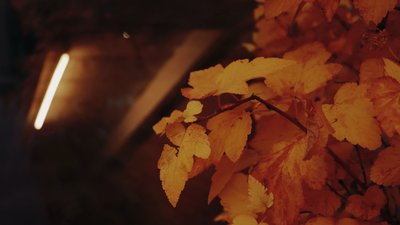На Полтавщині оновили графік відключень електроенергії на 11 листопада