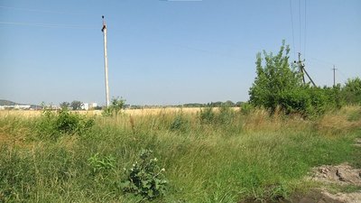 "Затопили півтора гектара пшениці". У селі на Львівщині поле підтоплює нечистотами "Затопили півтора гектара пшениці". У селі на Львівщині поле підтоплює нечистотами