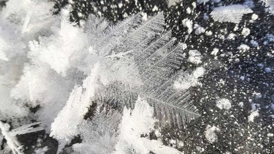 На Волині розцвіли "крижані квіти" На Волині розцвіли "крижані квіти"