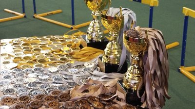 У Сумах відбувся чемпіонат України з карате серед школярів та студентів
