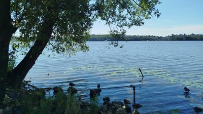Погода на Тернопільщині, тепло, хмарно з проясненнями, синоптики, 19 серпня