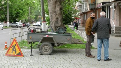 Зрубали дерева, щоб побудувати автостоянку: херсонці протестують проти дій підприємців Зрубали дерева, щоб побудувати автостоянку: херсонці протестують проти дій підприємців