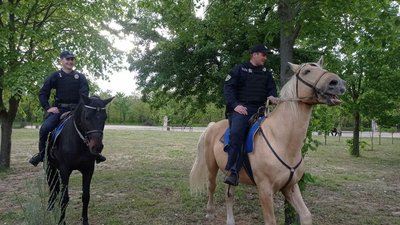 Поліцейські на конях