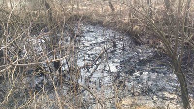 На Прикарпатті гноївкою залило вісім соток землі