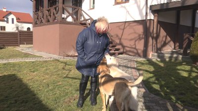 Укриття на Львівщині. Чи можна там бути з домашніми улюбленцями Укриття на Львівщині. Чи можна там бути з домашніми улюбленцями