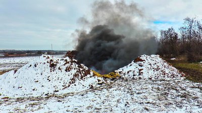 В селі на Кіровоградщині виявили африканську чуму свиней. Які наслідки В селі на Кіровоградщині виявили африканську чуму свиней. Які наслідки