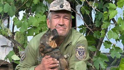 Війна, боєць, історія, АТО