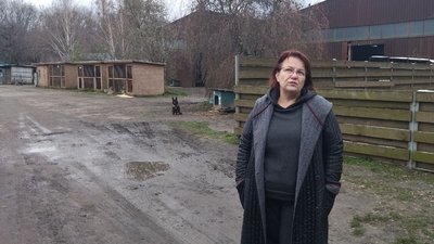 Для безпритульних тварин у Луцьку встановлюють будиночки із пластикових пляшок Для безпритульних тварин у Луцьку встановлюють будиночки із пластикових пляшок