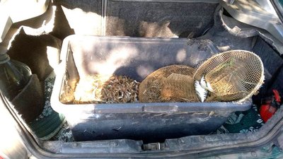 Поліцейські Херсонщини вилучили незаконний улов морепродуктів Поліцейські Херсонщини вилучили незаконний улов морепродуктів