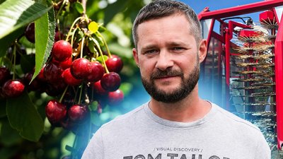 Близько 300 тонн вишні за сезон планують зібрати у саду Максима Колосова на Миколаївщині
