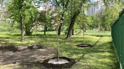 У ботсаду в Харкові висадили алею сакур в пам'ять про каразінців, загиблих внаслідок агресії РФ У ботсаду в Харкові висадили алею сакур в пам'ять про каразінців, загиблих внаслідок агресії РФ