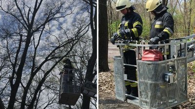 6 квітня: у Запоріжжі надзвичайники врятували котика