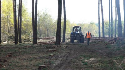 На Полтавщині заготовляють дрова та деревину для військових На Полтавщині заготовляють дрова та деревину для військових