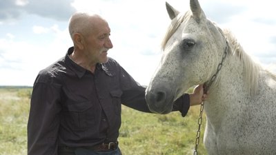 володимир, підгірник