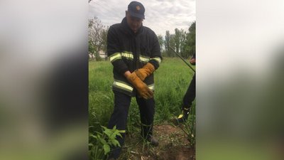 На Житомирщині рятувальники допомогли собаці, який впав у провалля На Житомирщині рятувальники допомогли собаці, який впав у провалля