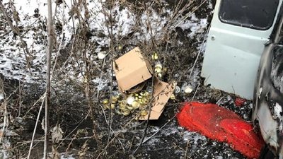 На кордоні з РФ на Харківщині згорів автомобіль з контрабандною ікрою На кордоні з РФ на Харківщині згорів автомобіль з контрабандною ікрою