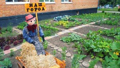 Квасять овочі, морозять ягоди і сушать трави: як готуються до зими у школах та дитсадках на Вінниччині Квасять овочі, морозять ягоди і сушать трави: як готуються до зими у школах та дитсадках на Вінниччині