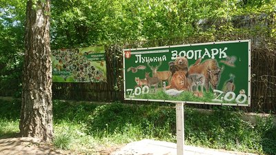 Луцьк в перший день послаблення карантину