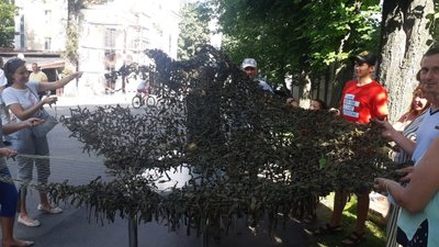У Вінниці для бійців на Схід плели маскувальну сітку У Вінниці для бійців на Схід плели маскувальну сітку