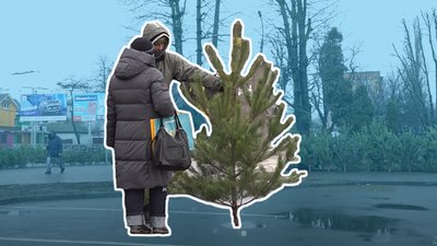 "Ціни, як минулого року": у Черкасах відкрилися ялинкові ярмарки