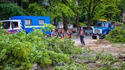 Фото - Мерія Дніпра