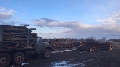 5 років позбавлення волі за незаконни збут деревини 5 років позбавлення волі за незаконни збут деревини
