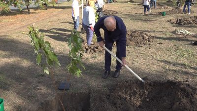 Алея Одеса Алея Одеса