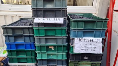 Ціни не падатимуть: скільки коштують сезонні лісові ягоди на ринку у Житомирі Ціни не падатимуть: скільки коштують сезонні лісові ягоди на ринку у Житомирі