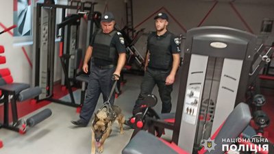 Повідомлення про замінування терміналу миколаївського морського порту не підтвердилось