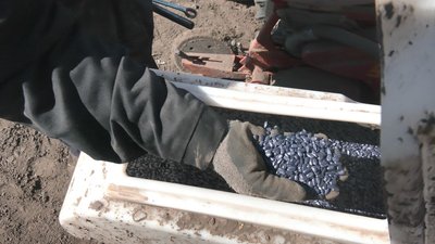 Посівна із запізненням Посівна із запізненням