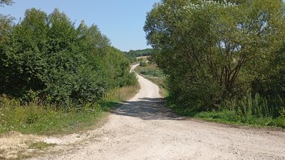 Жителі села на Тернопільщині скаржаться на агрофірму, Носівці, знищують дороги